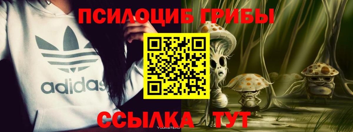 МАРИХУАНА Будённовск