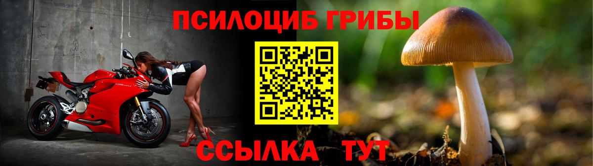 Галлюциногенные грибы ЛСД  Вход с VPN  Будённовск 